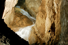 Ocho Rios Cave Tour cruise excursion